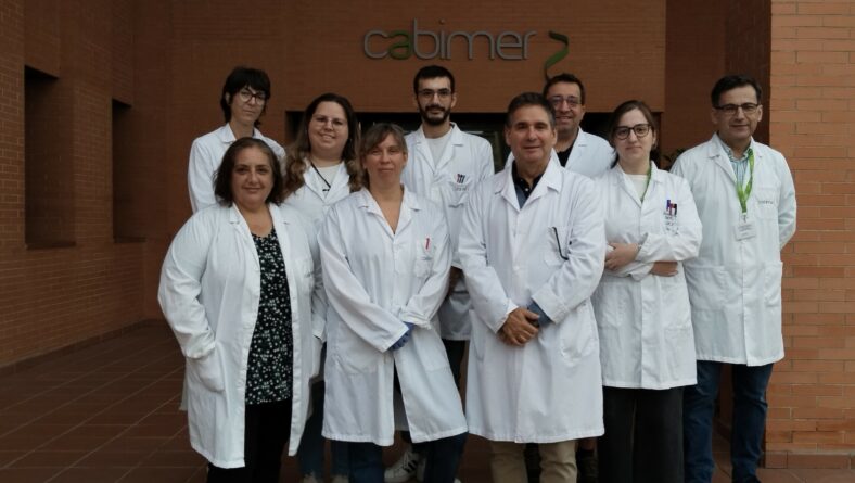 Una investigación andaluza, premiada por la Federación Española de Diabetes